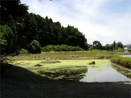 年の神水源