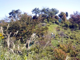 田子山