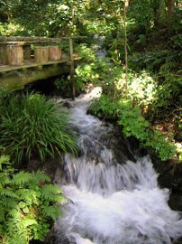 乙川湧水群