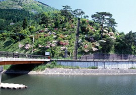 小嵐山