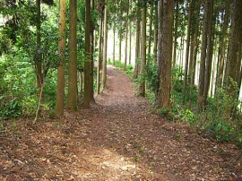 湯山東公園