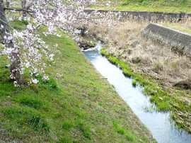 内牧 花原川