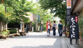 門前町水基巡りの道