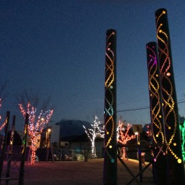20141209_083716234_iOS