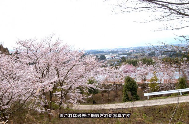 jyoudojimaki