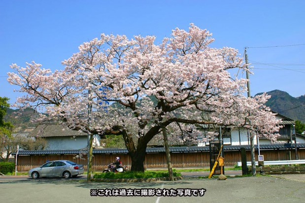 sakanasikouminkan
