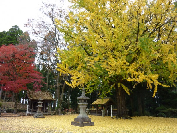 02西巌殿寺