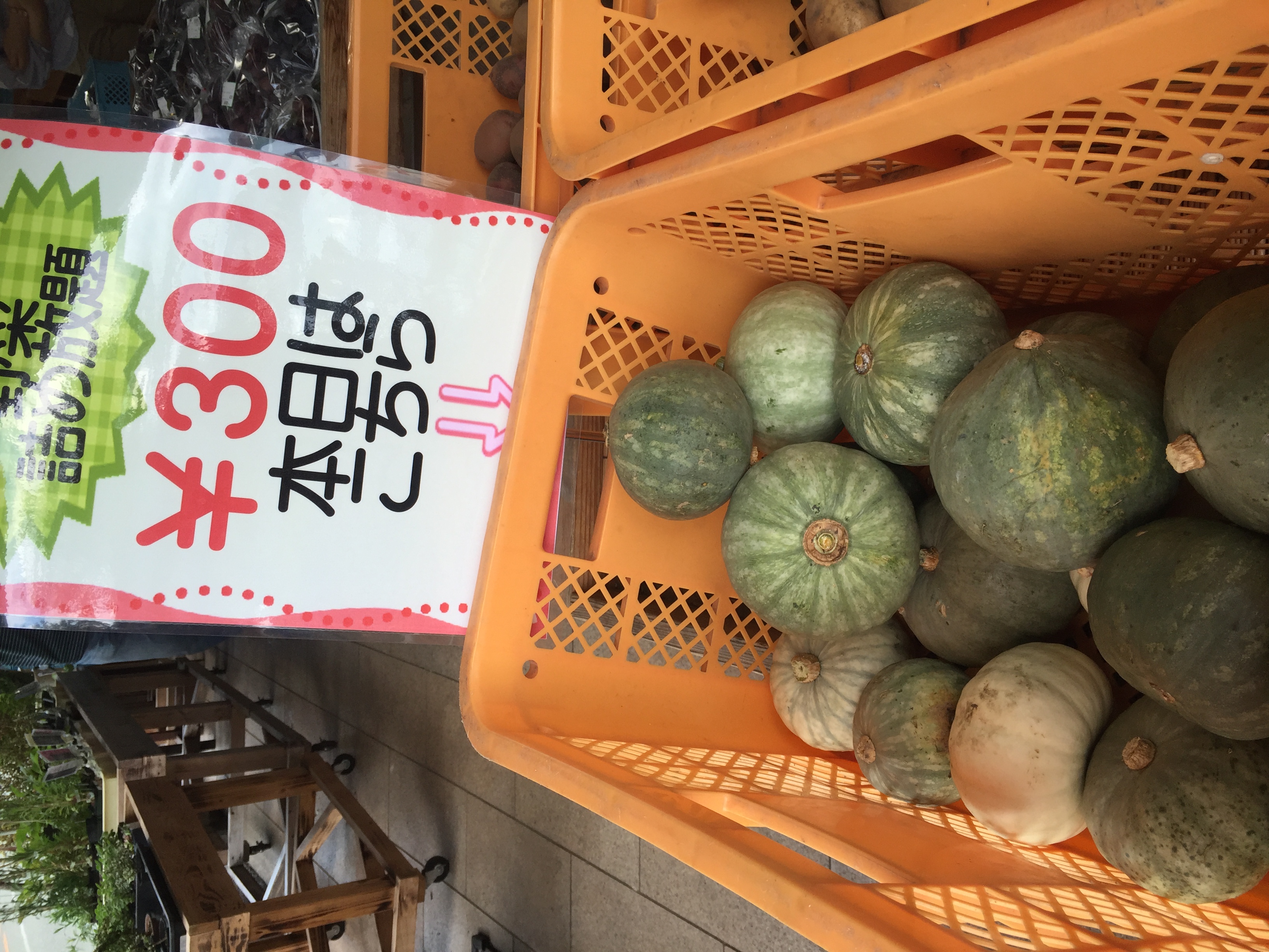 九州じゃらんコラボ企画『阿蘇の野菜いろいろ詰め放題』！！ | 道の駅 阿蘇