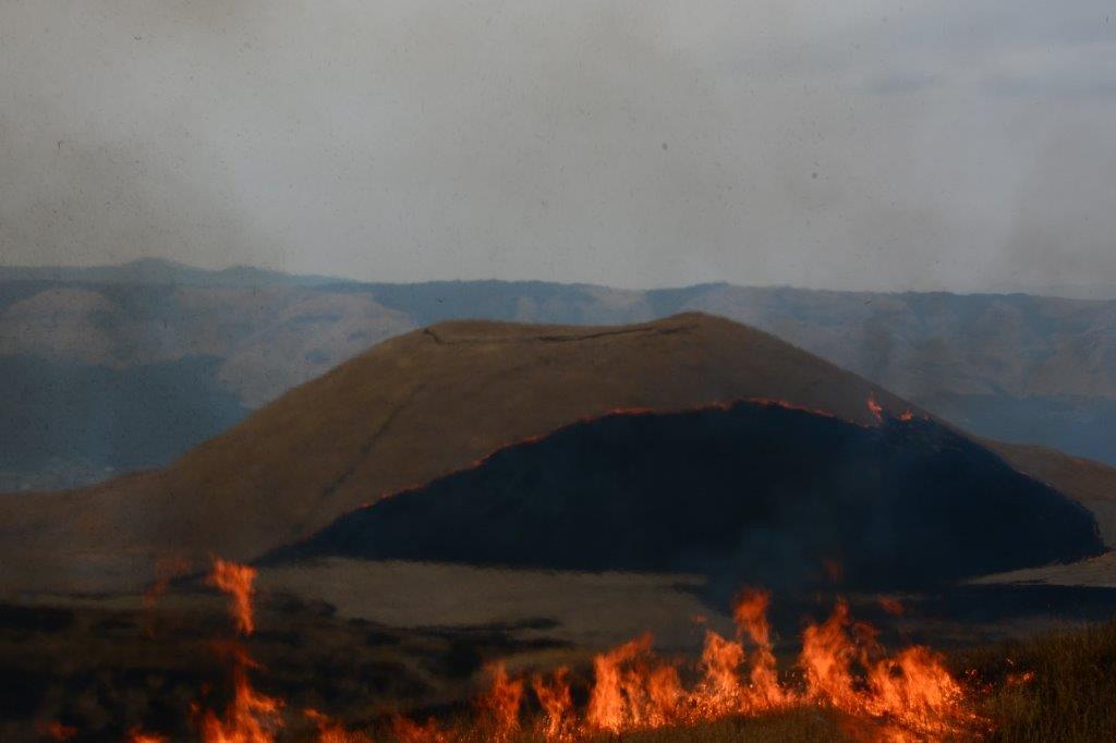 阿蘇に春の訪れを感じさせる、野焼きが始まりました！！ | 道の駅 阿蘇