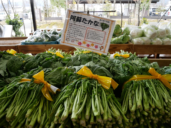 阿蘇の新漬け高菜 生高菜 いよいよ販売スタートです 道の駅 阿蘇