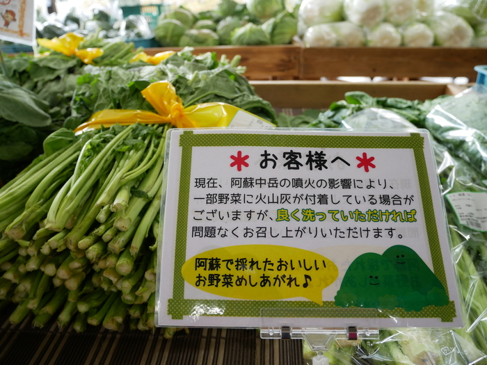 阿蘇の新漬け高菜 生高菜 いよいよ販売スタートです 道の駅 阿蘇