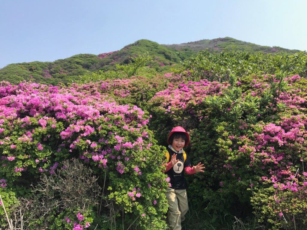 烏帽子岳のミヤマキリシマは 今年もきれいに咲き誇りました 道の駅 阿蘇