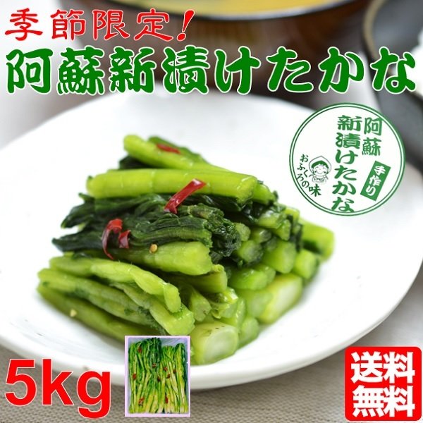 熊本 阿蘇の特産品 阿蘇たかな の新漬け予約注文受付中 道の駅阿蘇ネットショップ お取り寄せグルメ ギフトにどうぞ 道の駅 阿蘇