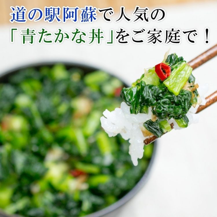漬物 お取り寄せ  特価品コーナー☆ 高菜 ちりめんたかな  高菜漬け 150g×3袋 熊本