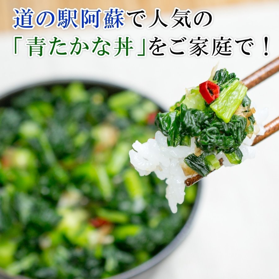 熊本 阿蘇の特産品 阿蘇たかな の新漬け予約注文受付中 道の駅阿蘇ネットショップ お取り寄せグルメ ギフトにどうぞ 道の駅 阿蘇 熊本 阿蘇の特産品 阿蘇たかな の新漬け予約注文受付中 道の駅阿蘇ネットショップ お取り寄せグルメ ギフトにどうぞ 道の駅 阿蘇