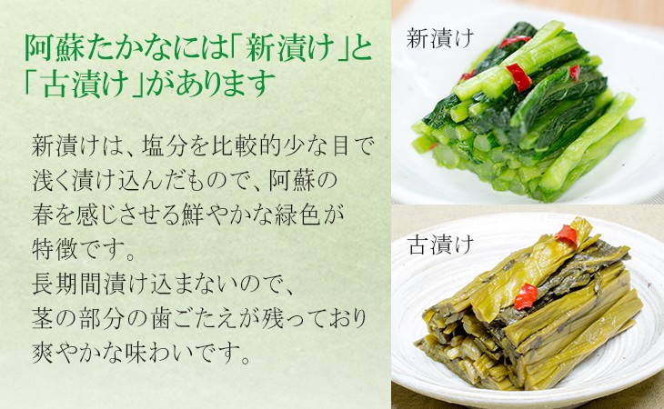 特価品コーナー☆ 高菜 ちりめんたかな  漬物 お取り寄せ  高菜漬け 150g×3袋 熊本