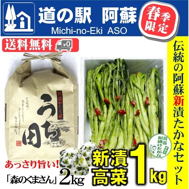 熊本・阿蘇の特産品「阿蘇たかな」の新漬け予約注文受付中！！(道の駅阿蘇ネットショップ) お取り寄せグルメ、ギフトにどうぞ | 道の駅 阿蘇
