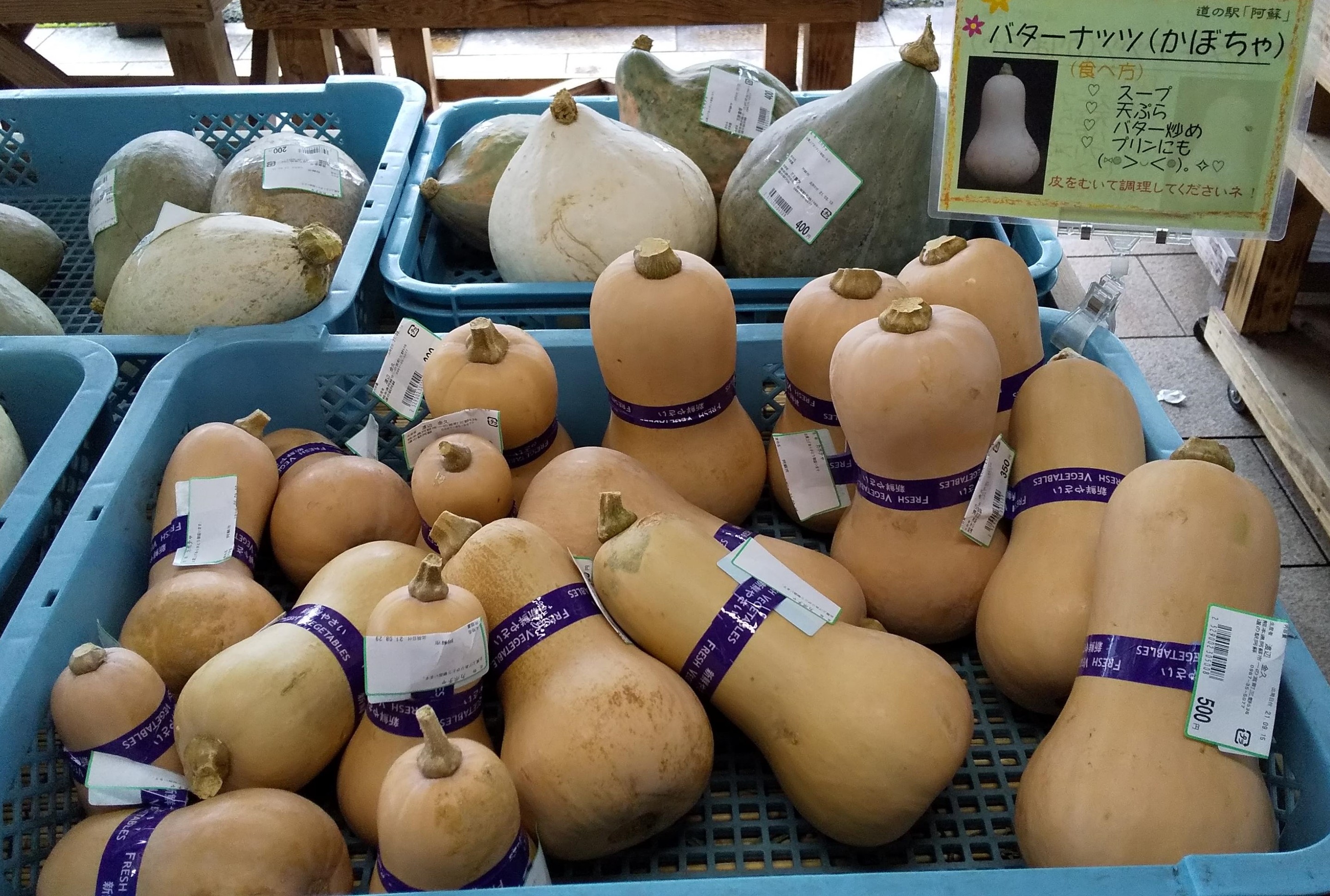 バター ナッツ かぼちゃ