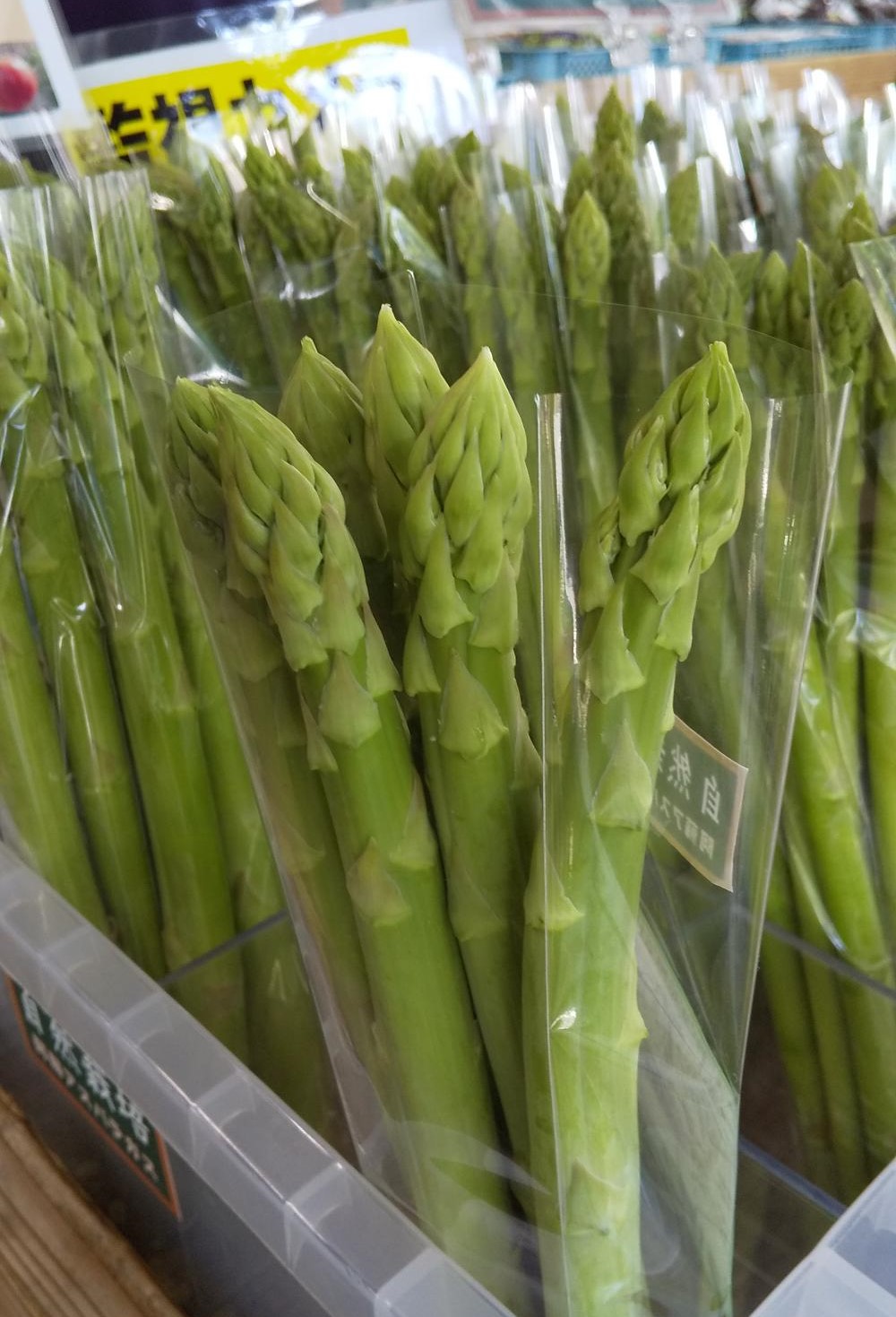 夏バテ防止に 道の駅阿蘇の栄養満点 夏野菜たちのご紹介 道の駅 阿蘇