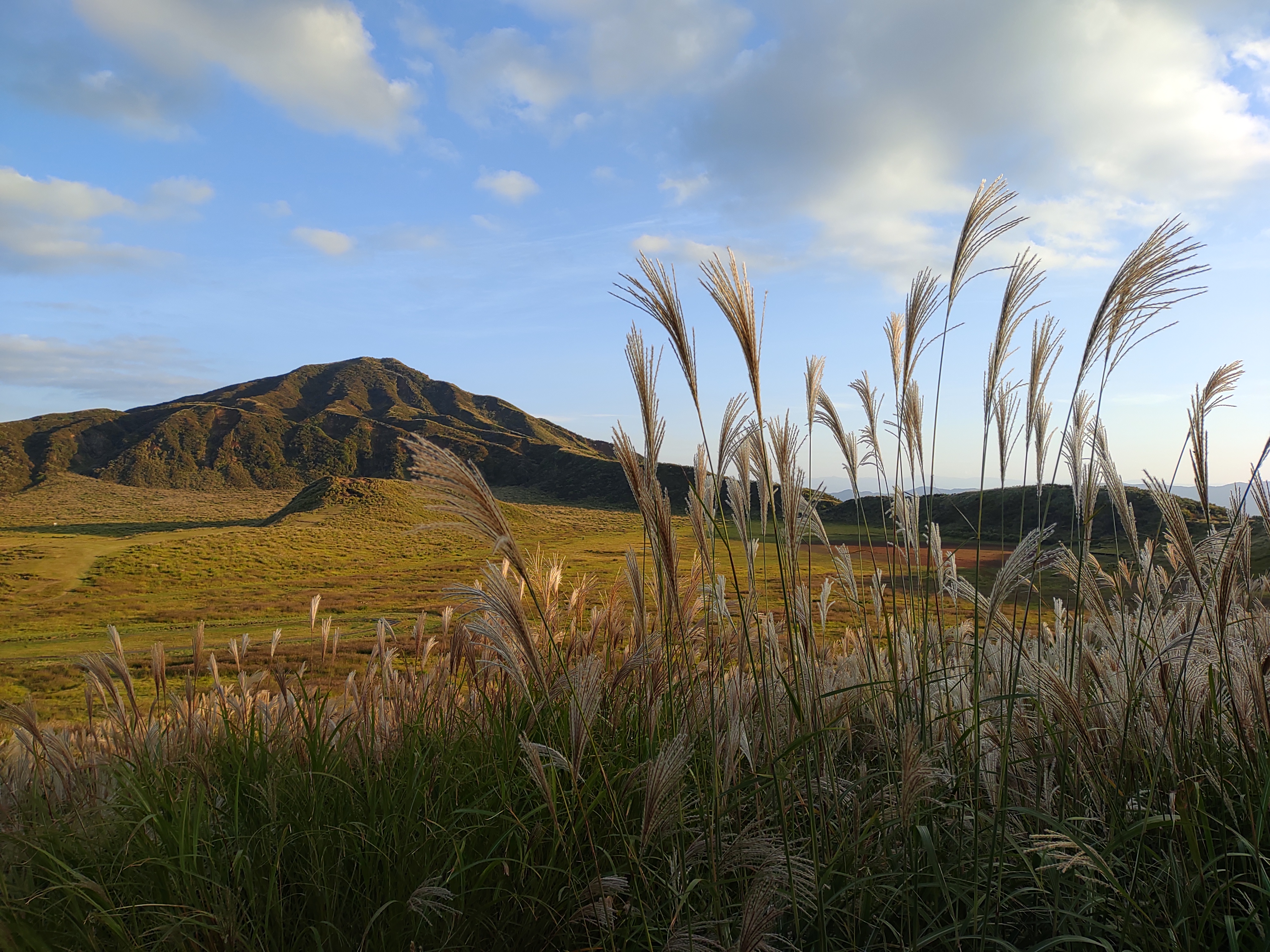 道の駅阿蘇にて環境省九州地方アクティブ・レンジャー写真展を開催中