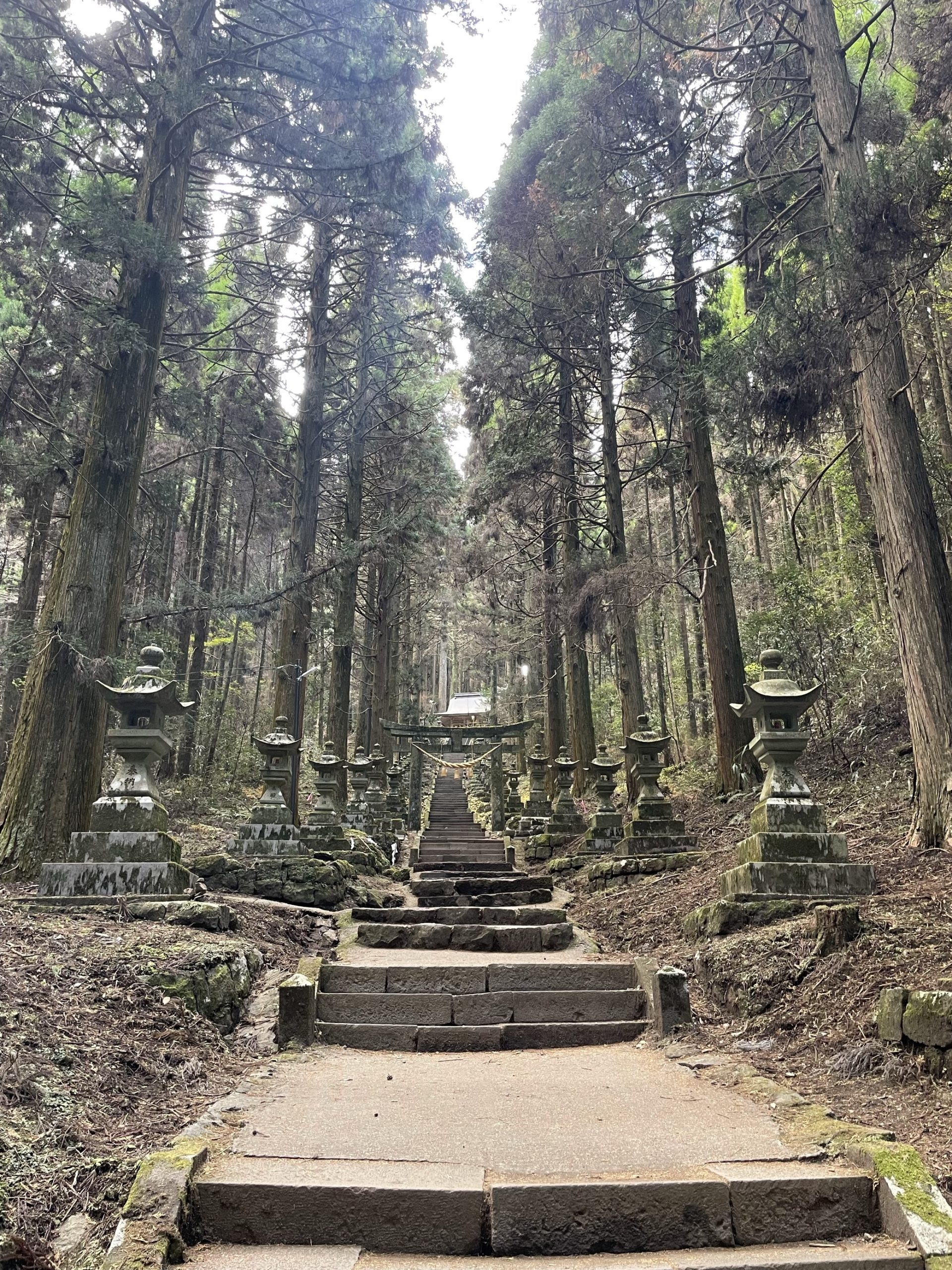 Step into an Anime World: Discover Kamishikimi Kumanoimasu