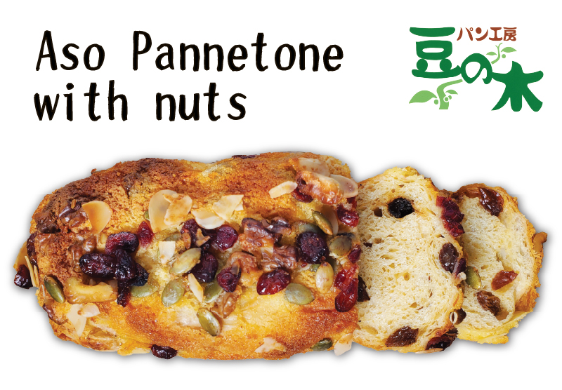 Aso Pannetone