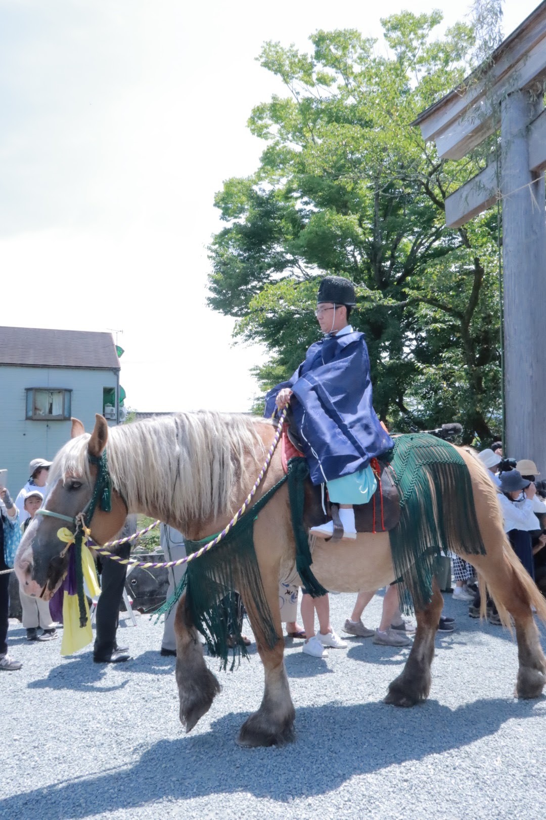 阿蘇神社御田祭