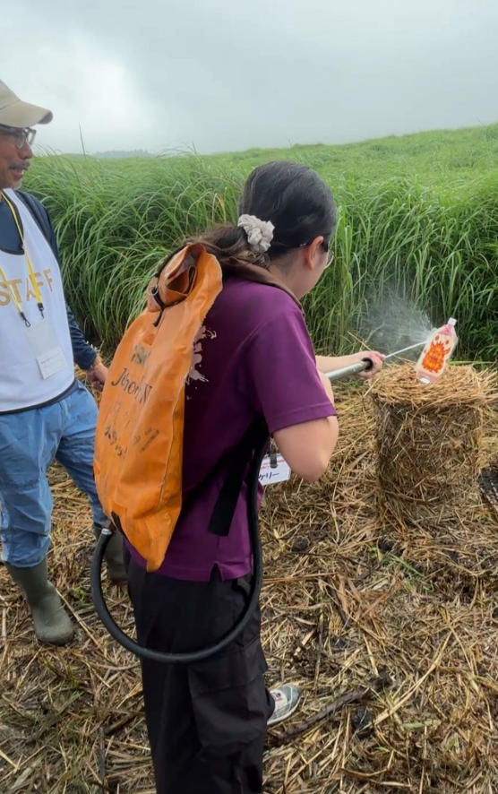 野燒灑水體驗