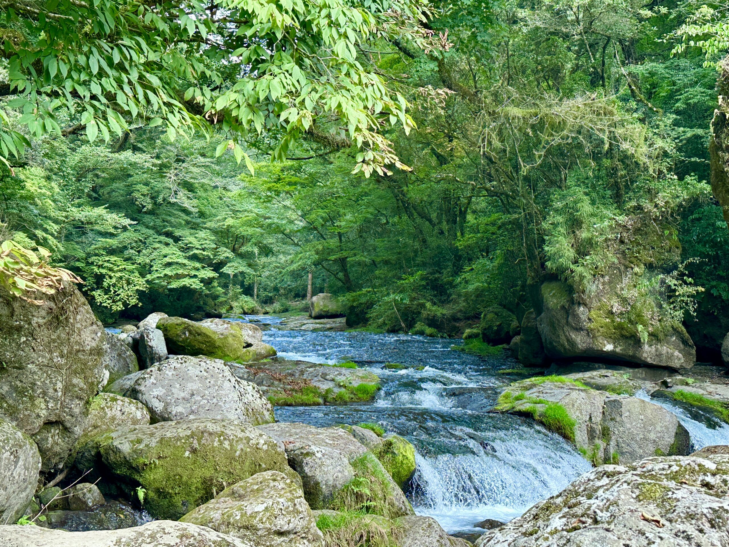 菊池溪谷-廣河原